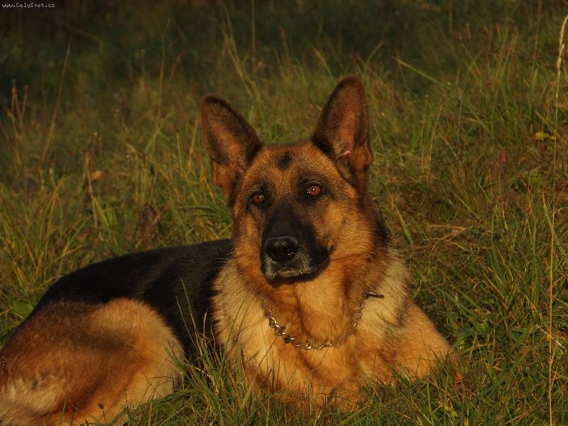 Foto: sledujem západ slnka-v jeseni