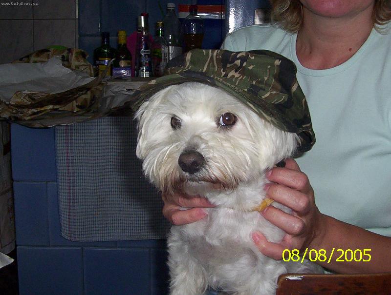 Foto: Maxík-A jde se na ryby...