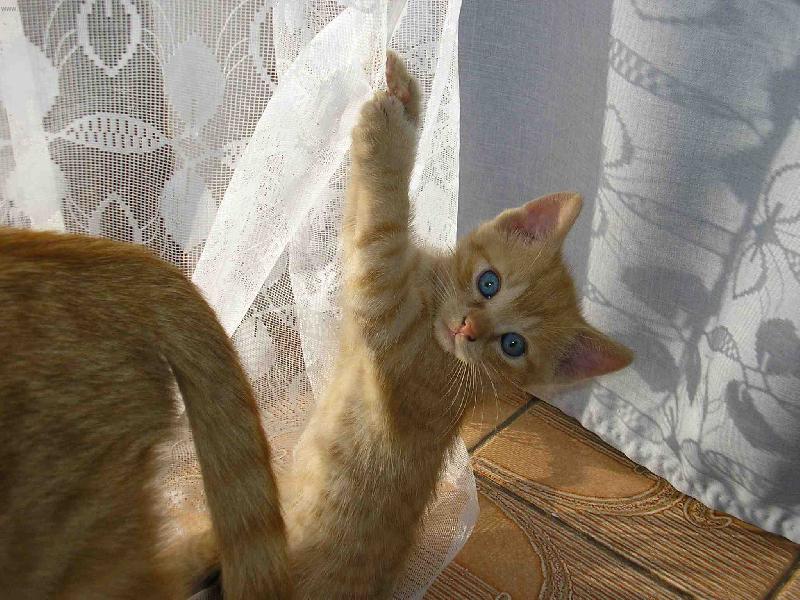 Foto: aja-co se děje ?