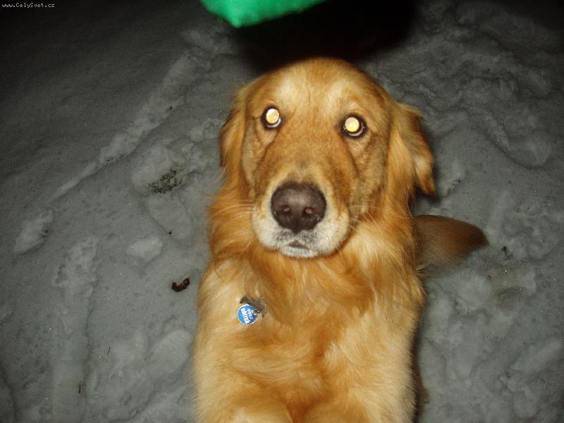 Foto: Tak už mi to dej.....prosííím