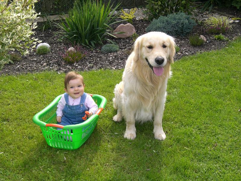 Foto: Amíšek a Ivonka-Ve dvou se to lépe táhne:0))