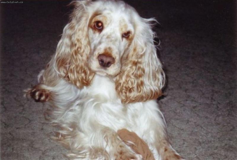 Foto: Sárinka-Tak to jsem já:-)