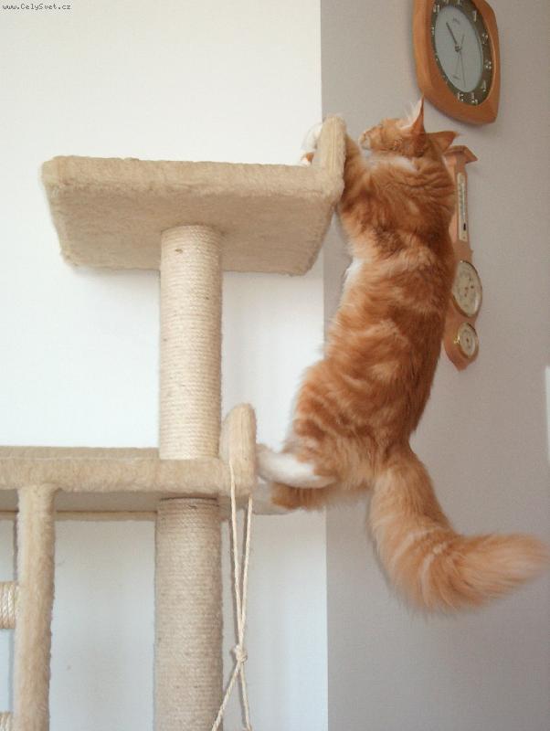 Foto: Kaskadér František