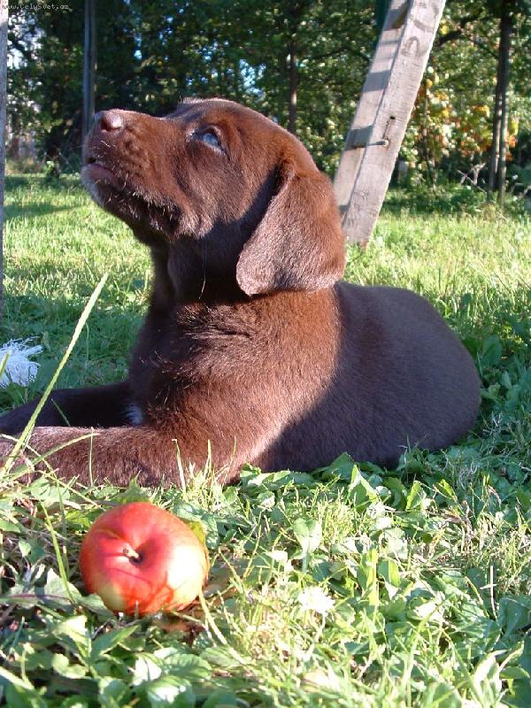 Foto: Baruška-Můj andílek