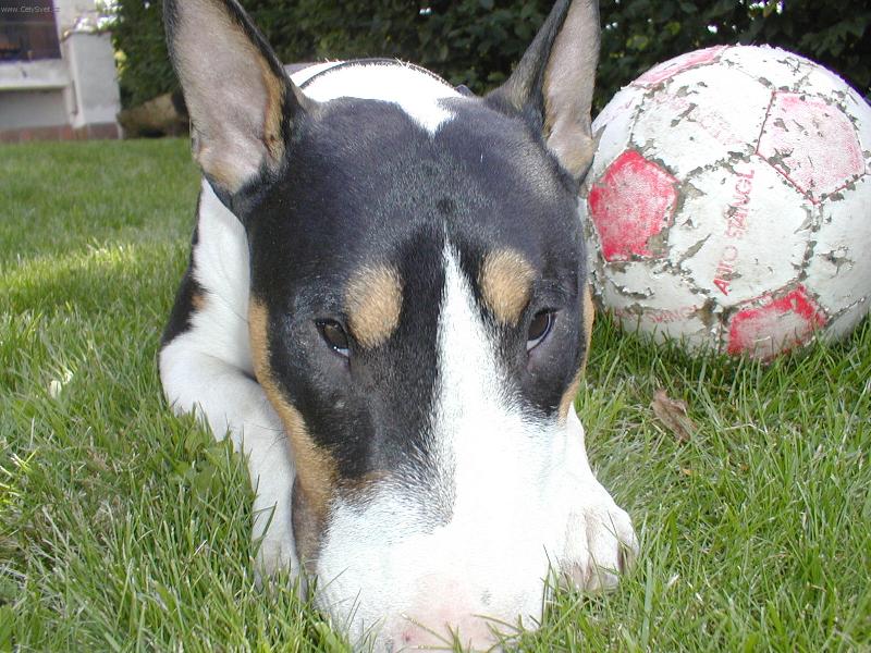 Foto: Marley-Unavený fotbalista