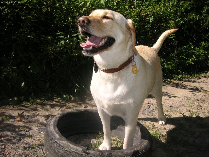 Foto: vítězství-a mám tu gumu, heč!