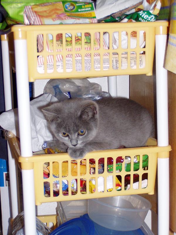 Foto: ...a už jsou moje