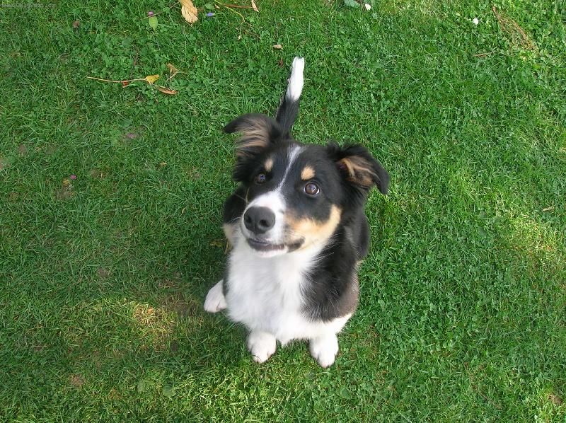 Foto: Audi-Tak tady vidíte naše nejlepší Audi, co má pohon na všechny čtyři:-D