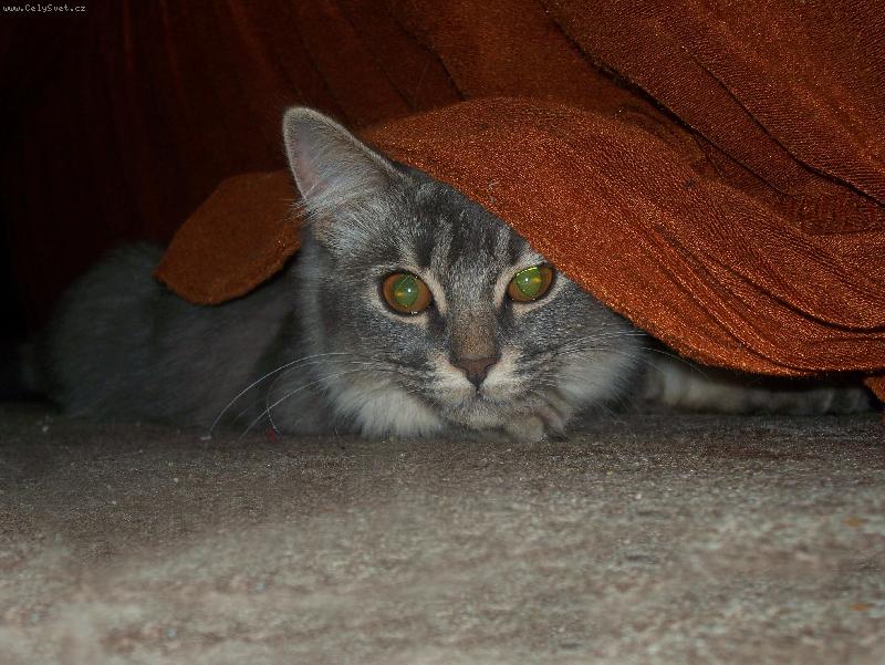 Foto: maskovaná-maskovací vzor 56