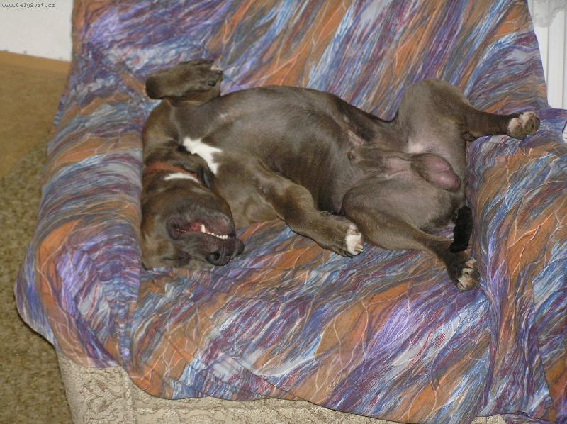 Foto: mám nějak málo místa