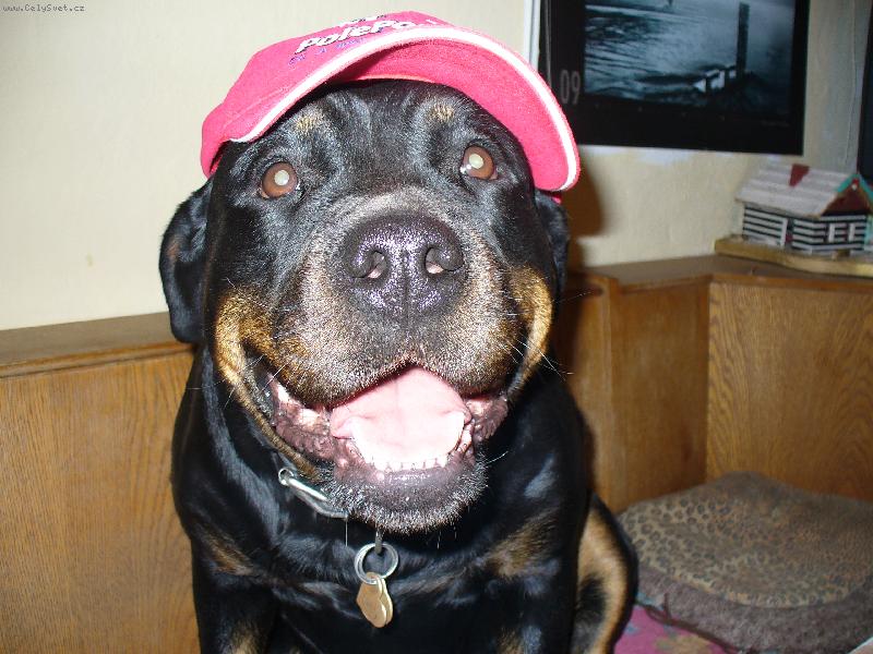 Foto: Nellynka-Už brzy vyyrazím s taťkou na Formuli 1