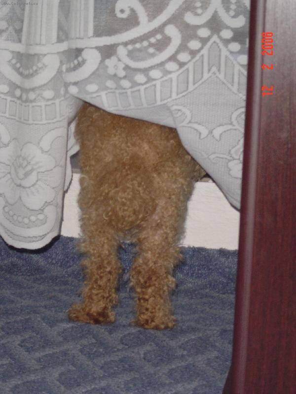 Foto: Beníček-Kde ty holky jsou?