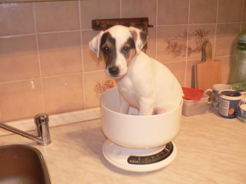 Foto: FATTY HOP TROP-Tak co mám zase víc......