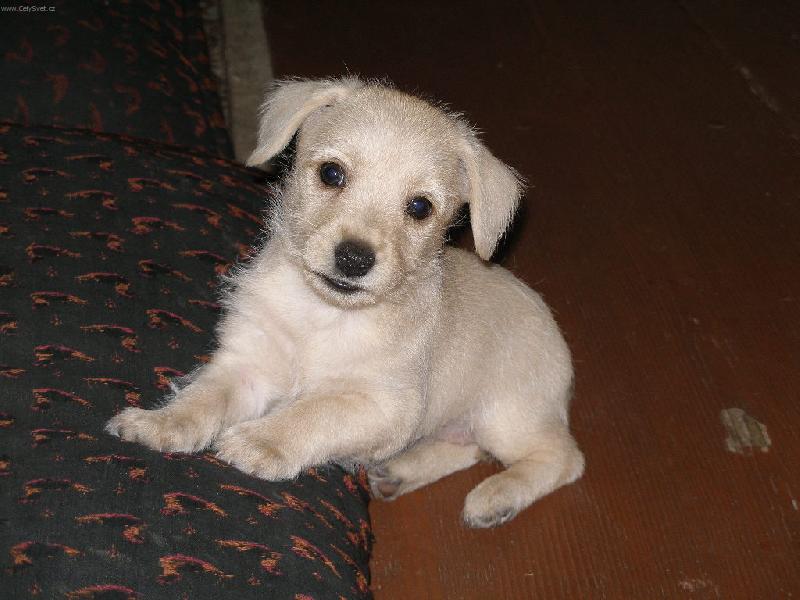 Foto: Naše Týnečka