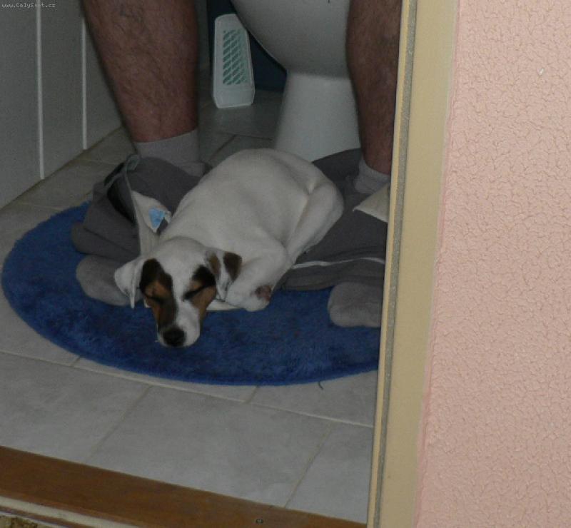 Foto: FATTY HOP TROP-Tomu se říká věrnost .......