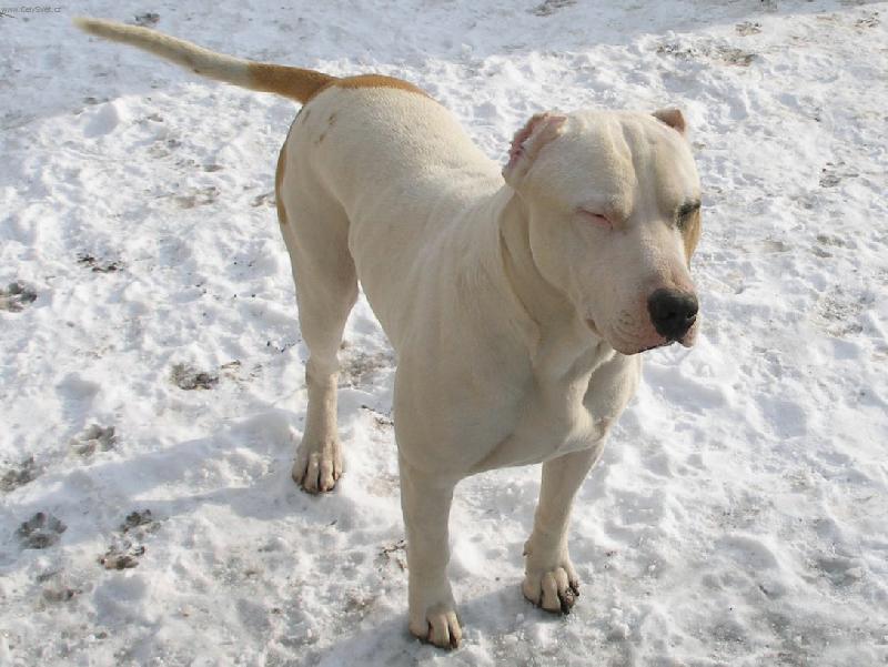 Foto: ...Nikoušek...