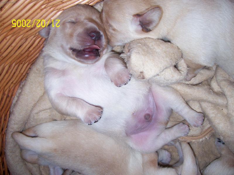 Foto: Nechte mě spinkat