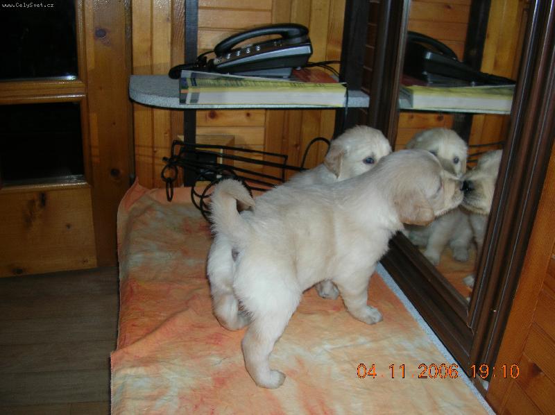 Foto: Co se vy dvě tam na nás tak koukáte?