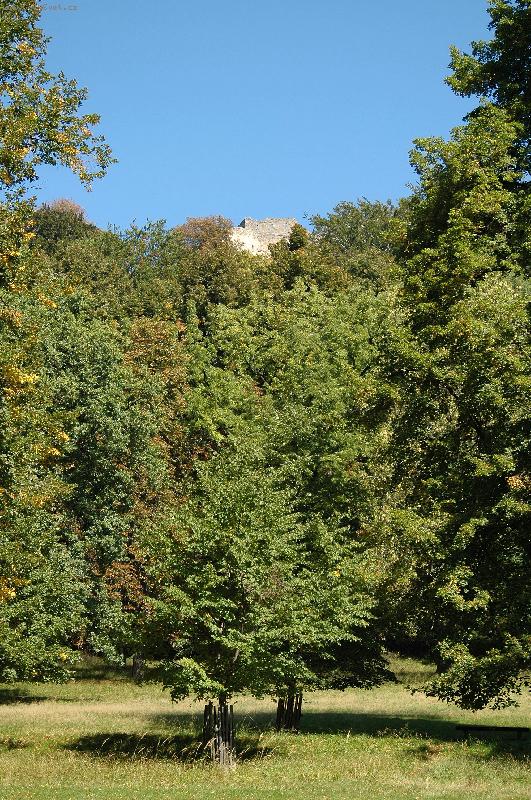 Foto: Hrad v d�li-za stromem