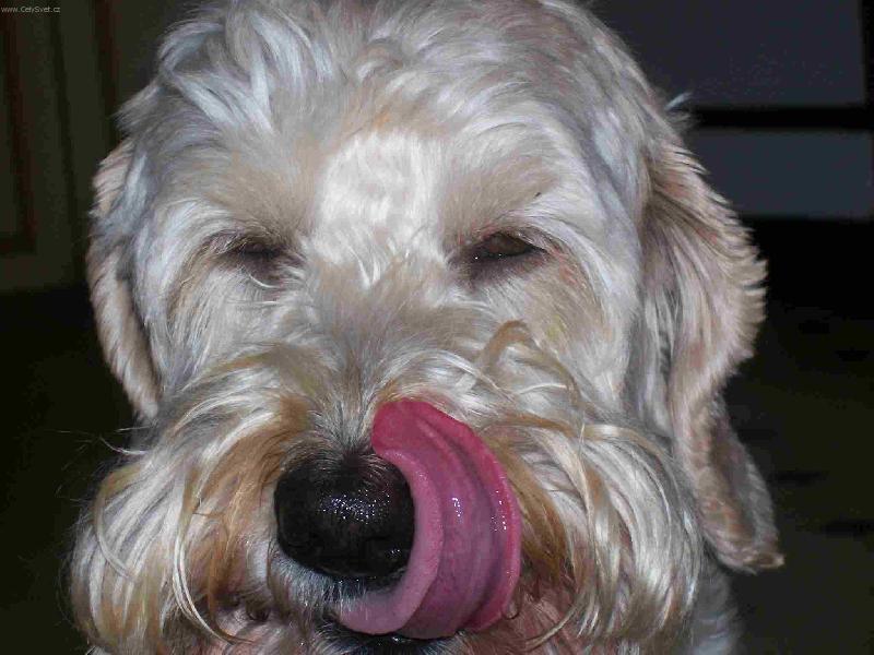 Foto: Roňas-A tak se ublizujeme všichni