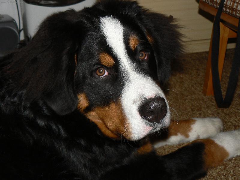 Foto: To mám, ale kukuč :)