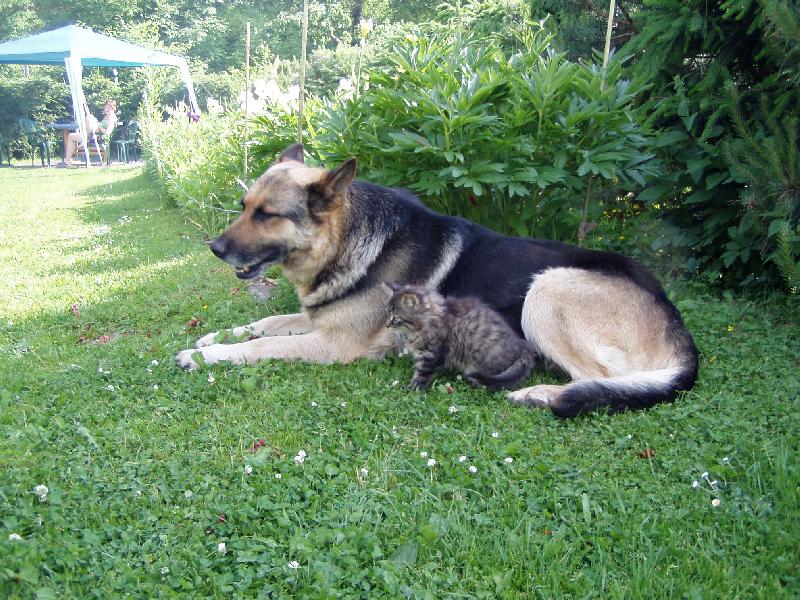 Foto: Nejlepší kamarádi