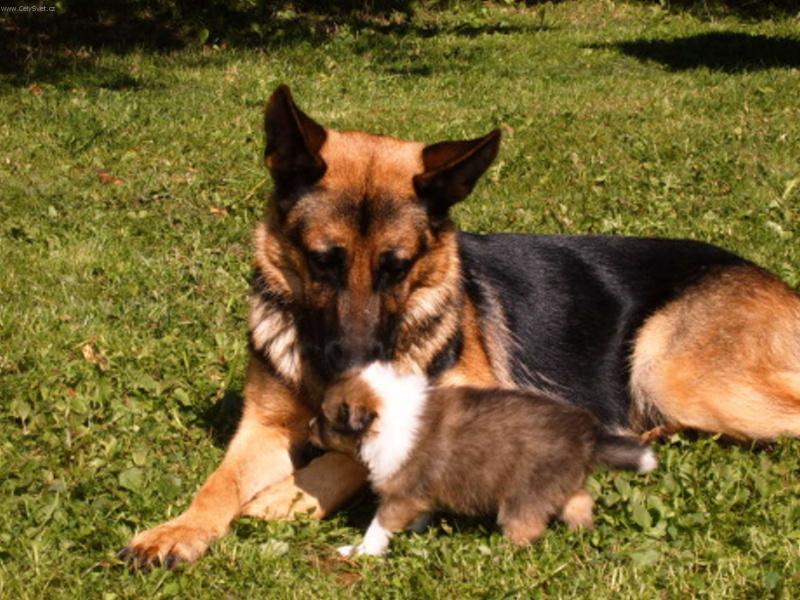 Foto: Mohu projít,prosím.