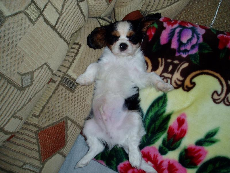 Foto: Oskáreček-Oskárek si právě po oběde šel hajnout...