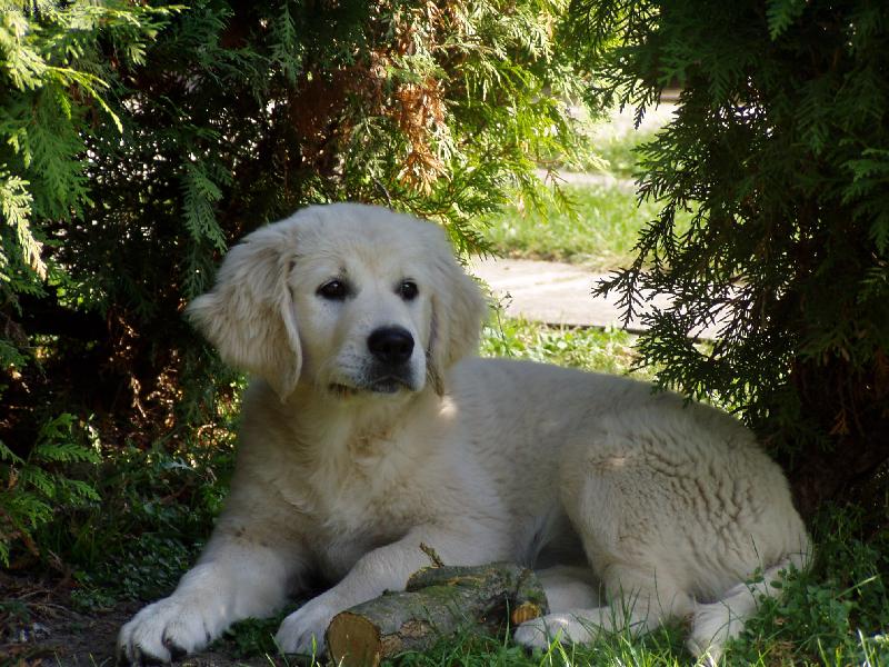 Foto: Lucky-Kam jste mi dali moje dřívko ??? :(