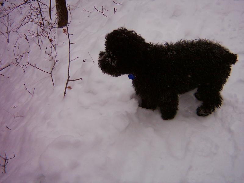 Foto: copak tam asi vidí-neco tam asi je