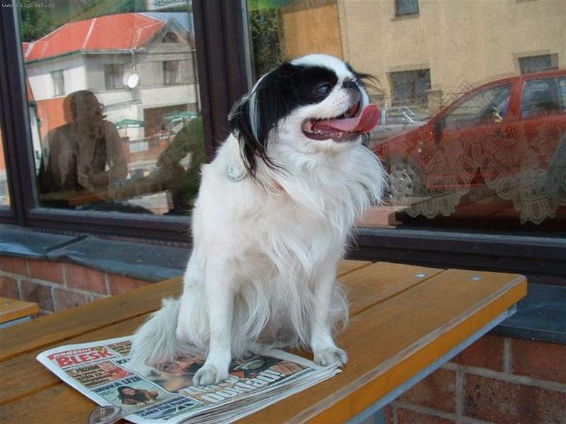 Foto: Tanaiko-Čekáme na pivo