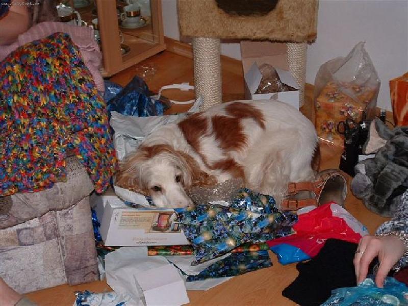 Foto: Konýšek-To rozbalování dá zabrat