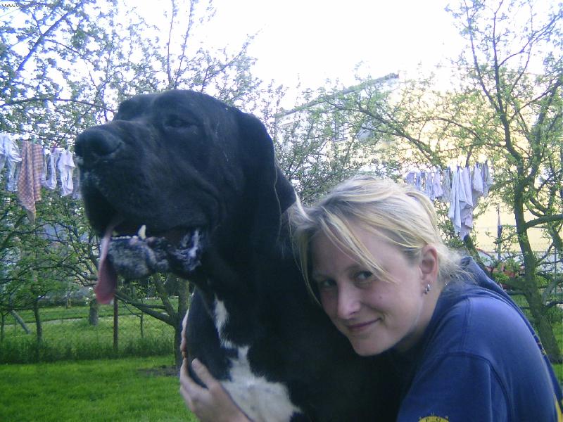 Foto: Já a můj pes-Orleans Jackův smích