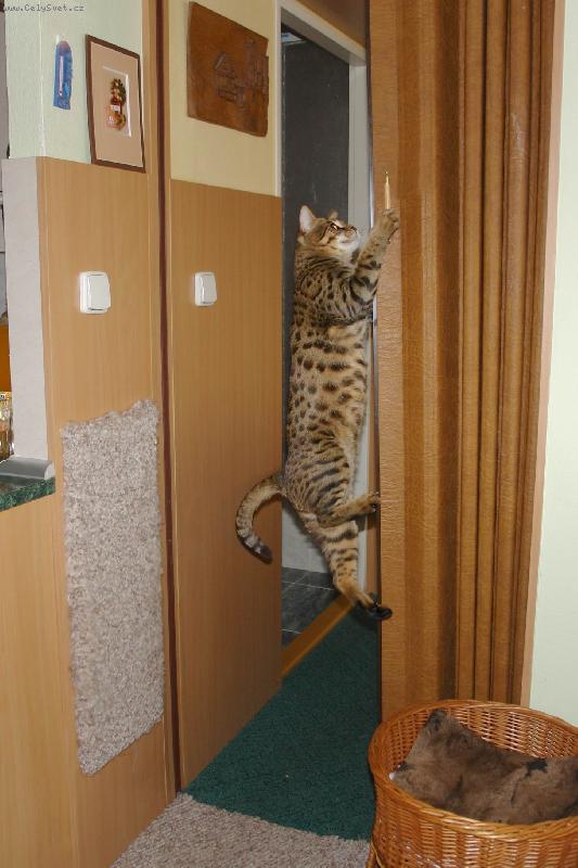 Foto: Tak toto je ta klika?