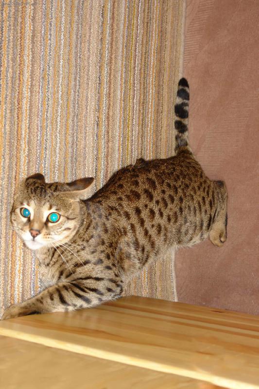 Foto: Tak to mi zase jednou nevyšlo