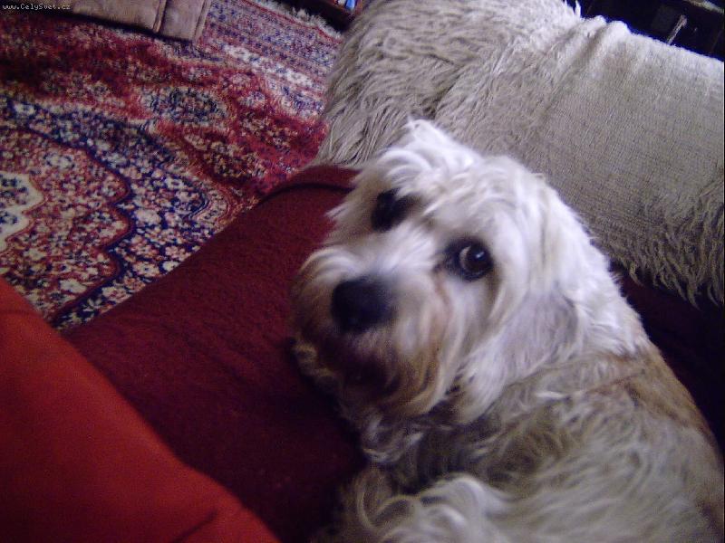 Foto: Denynka v bezpečí gauče