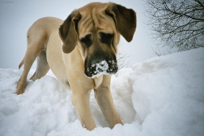 Foto: Terezka na horách
