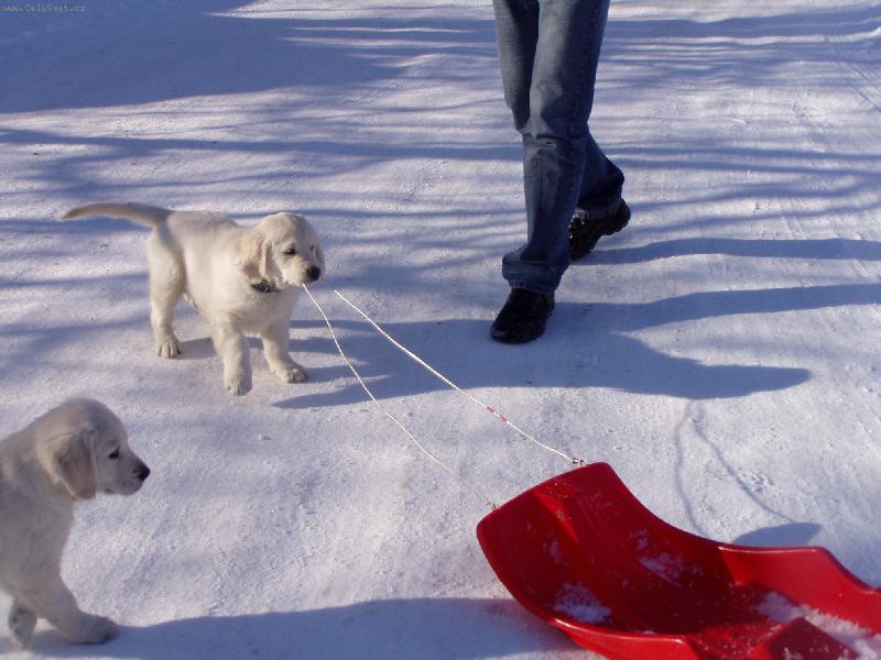 Foto: já a boby-...ty boby jsou moje...