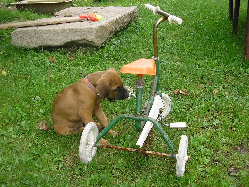 Foto: Jedu na výlet!