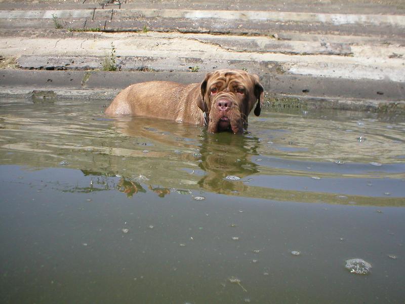 Foto: vodu mám ráda