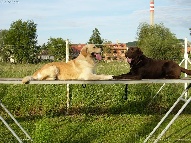 Foto: Dva Badííci-nejlepší káámoši