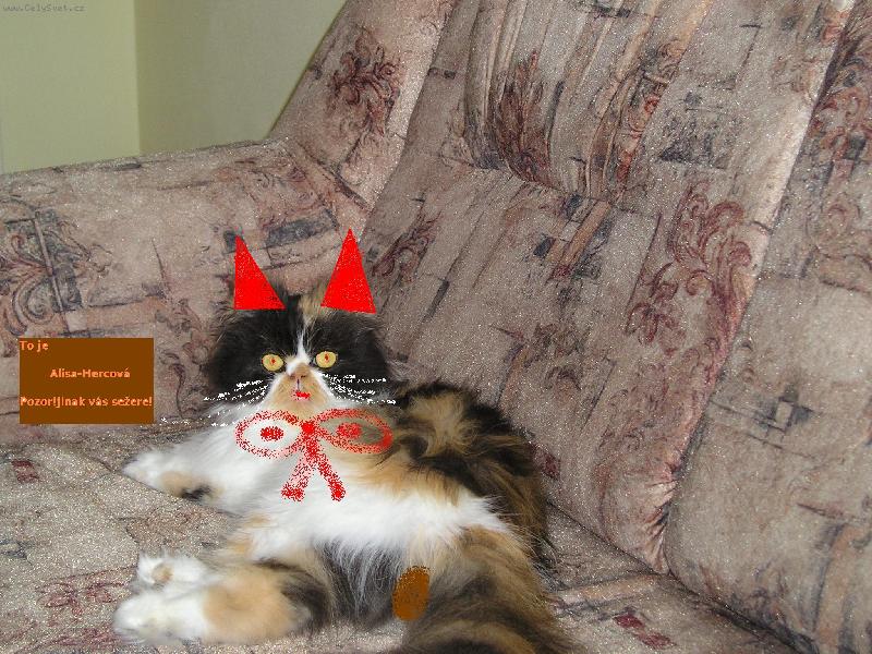 Foto: Alisa-Svítí mi do očí sluníčko