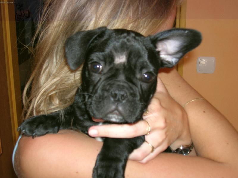 Foto: U� mi stouplo jedno ucho, h��.