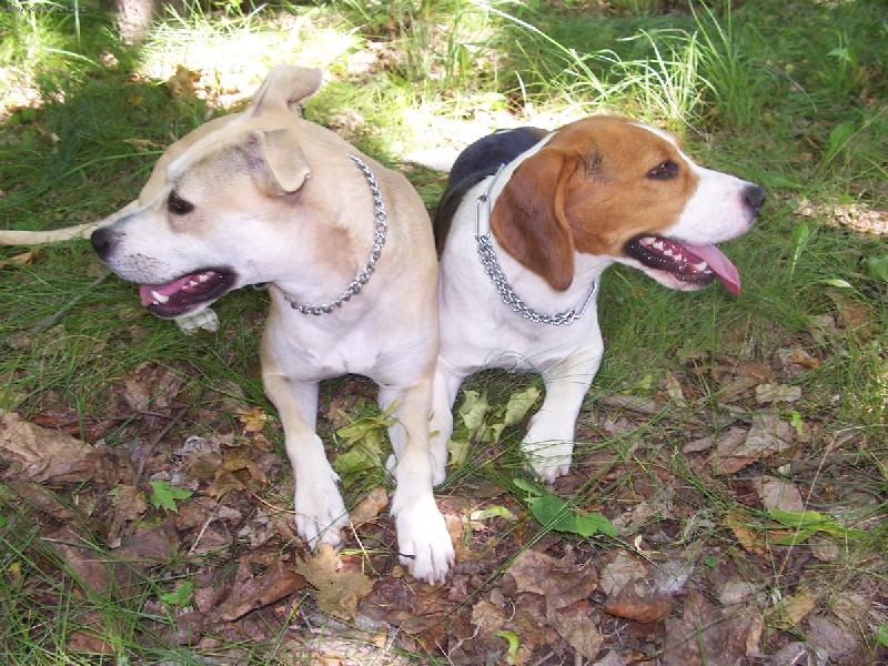 Foto: nemluvim s tebou-ten klacek byl muj!!!