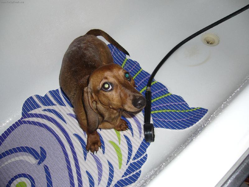 Foto: Jessienčina koupel-zeleno-modro očko