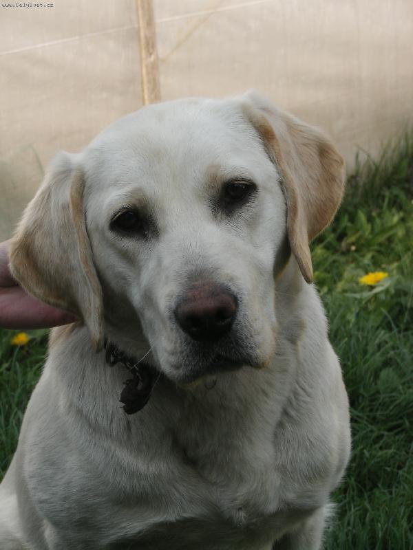 Foto: Líbím se?-Celkem ráda se fotím!