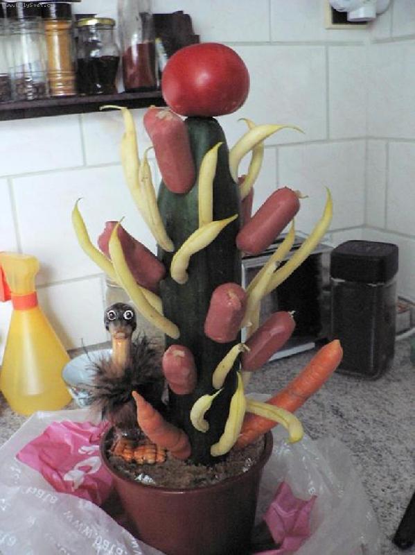 Foto: jsem k sežrání