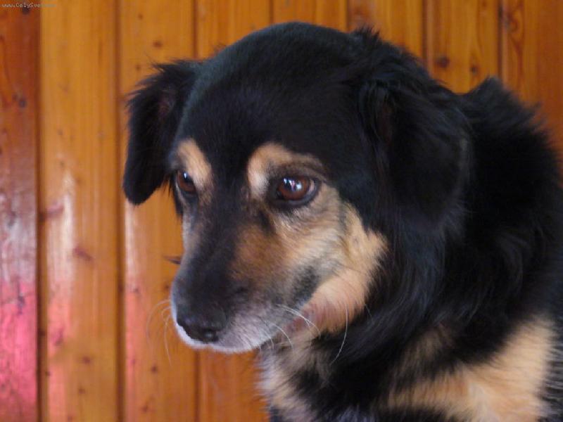 Foto: Beník-Ještě neodcházej