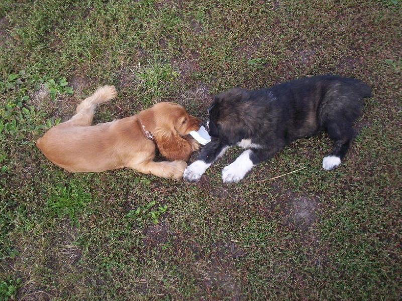 Foto: Keny a Arteček