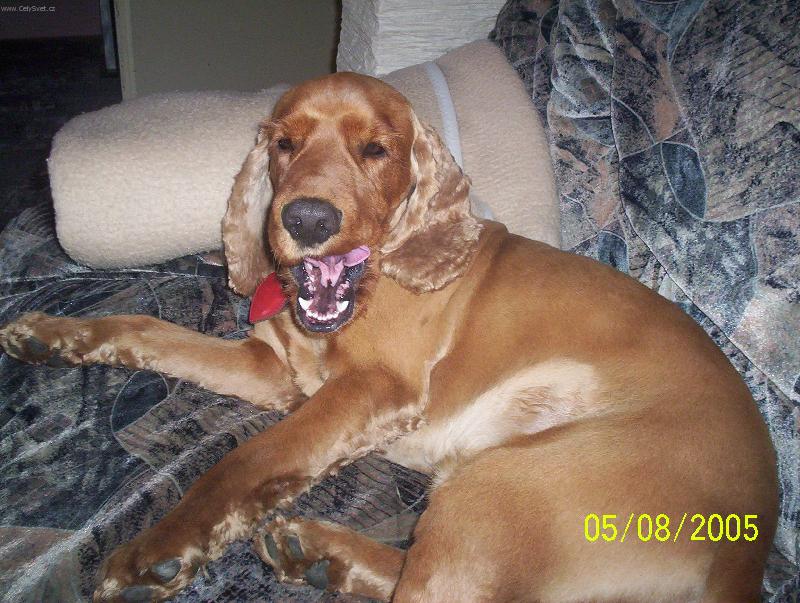 Foto: Náš keny-holátko